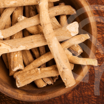 Ashwagandha NSP NSP-model 23072 | Billede nr. 1