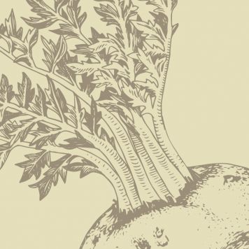 Boost NSP NSP-model 1121 | Billede nr. 1