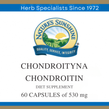 Chondroitin NSP NSP-model 1811 | Billede nr. 1