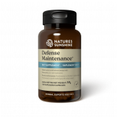 Forsvarets vedligeholdelse NSP