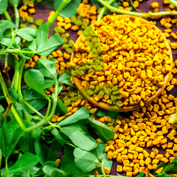 Fenugreek & Thyme NSP Fenugreek & Thyme NSP NSP-model 885 | Billede nr. 1