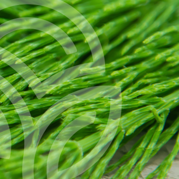 HSN-W NSP HSN-W NSP NSP-model 935 | Billede nr. 1