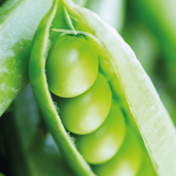 SmartMeal 2-pak NSP-model 65010 | Billede nr. 1