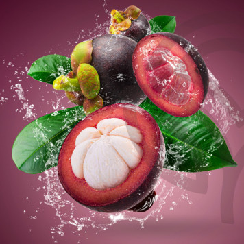 Zambroza NSP NSP-model 4104 | Billede nr. 2