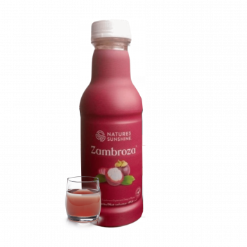 Zambroza NSP NSP-model 4104 | Billede nr. 1