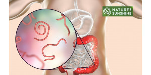 Sådan bekæmper du parasitter og candidiasis sikkert og naturligt: NSP-programmet