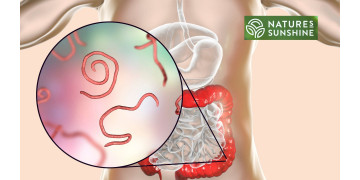 Sådan bekæmper du parasitter og candidiasis sikkert og naturligt: NSP-programmet