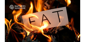 Hvorfor har kroppen brug for fedt? Fedtvævets rolle i det toksikologiske forsvar