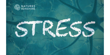 Stress og nervesystemet: hvordan man hjælper kroppen med at tilpasse sig og komme sig Stress og nervesystemet: hvordan man hjælper kroppen med at tilpasse sig og komme sig
