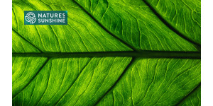 Smarte produkter til åreknuder: NSP's erfaringer